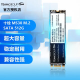 十铨科技SSD固态硬盘MP44/MP33/MS30笔记本台式机SATA3/M.2 NVME 十铨 MS30 M.2 SATA 512G