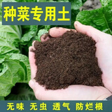 时令精品阳台蔬菜养花种植土通用型天然有机种菜绿植土营养土大包 30斤精选阳台种菜养花营养土 营养土