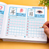 【常用300字】幼儿园儿童学前识字300字学前班幼小衔接幼升小练字帖汉字描红本3-6岁儿童识字书汉字笔画笔顺描红启蒙幼小衔接升一年级衔接入学准备本幼儿大班天天练册中班偏旁部首练习 【全8册】学前800