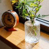 掬涵 小型复古玻璃器皿欧式花瓶花器透明干花插花水培客厅装饰摆件 C（7*11cm）