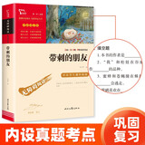 带刺的朋友 儿童文学读物小学生三四五六年级课外阅读书籍青少年儿童必读名著故事书 新老版本随机发货