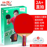 双鱼（DOUBLE FISH） 乒乓球拍初学者成品拍双面反胶皮套装快攻型学生业余训练乒乓拍 竖拍 2A+直拍（单）含2球