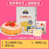 焙芝友芝士蛋糕粉低筋面粉diy蛋糕材料套装做生日蛋糕烘焙原料套餐低筋粉小麦粉 做草莓味芝士蛋糕套装（含黄油）