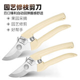 泰鹏修枝剪刀剪枝剪果树修枝剪粗枝花卉剪刀园林工具花艺盆栽剪子园艺修剪家用省力剪子花木剪树枝剪刀 J01花卉剪【大】TP6616一把装