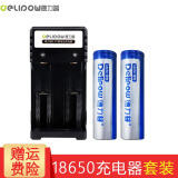德力普（Delipow） 18650锂电池 充电电池 3.7V大容量电池适用强光手电筒 双槽充电器+2节蓝标【平头】