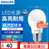 飞利浦（PHILIPS）LED灯泡节能灯超大球泡光源E27大螺口灯饰电灯泡替换白炽灯超亮 19W-6500K E27螺口