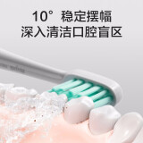 小米(MI)电动牙刷T500米家 家用成人智能充电式便携声波震动懒人自动清洁男女士情侣旅行软毛刷头 米家声波电动牙刷T500 白色