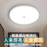 金雨莱人体感应声光控家用雷达感应吸顶灯走廊楼梯过道灯LED感应吸顶灯 36W 人体感应