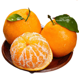 【产地直采】春见耙耙柑 约750g