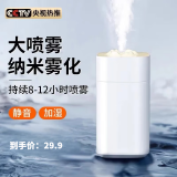 BNNVV新款空气加湿器净化器一体机小型便携迷你车载家用静音精油香薰机雾化喷雾器   卧室办公室桌面 雪山充电版*白色