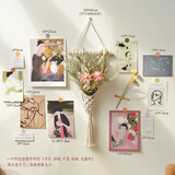 丹斯提尼ins干花墙贴墙面装饰手工编织墙上挂件客厅卧室壁挂壁饰卡片墙饰 美人与花网兜干花组合