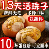 活珠子13天毛蛋山东新鲜鸡胚蛋钢化蛋真空包装开袋即食熟食带蘸料 五香活珠子10枚 带蘸料