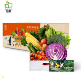 旭耕有机蔬菜组合尝鲜套餐3斤3-6种 时令新鲜无农残净菜 顺丰送礼礼盒 3斤随机3-6种菜