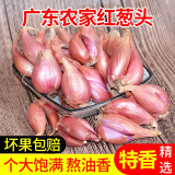 良知农哥 广东小香葱红葱头 火葱干葱头 1斤