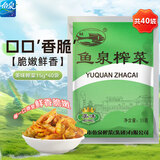 鱼泉榨菜 下饭菜 配粥小菜 美味榨菜15g*40袋 重庆特产