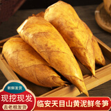 京地达正宗临安天目山现挖新鲜冬笋3斤装单果2-4两起笋子竹笋源头直发