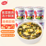 海福盛方便食品速食汤免煮冲泡懒人早餐FD冻干汤台式紫菜汤8g*6杯
