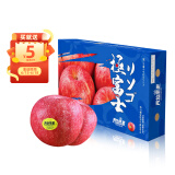 洛川苹果 青怡陕西红富士7.5斤臻品礼盒装单果210g以上生鲜新鲜水果