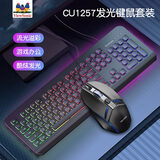 优派（ViewSonic）CU1257键鼠套装 有线键盘游戏发光键盘键鼠套装lol吃鸡电竞薄膜键盘优派键盘 黑色