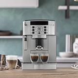 德龙（Delonghi）咖啡机 全自动咖啡机 欧洲原装进口 家用 自带打奶泡系统 ECAM22.110SB 银色