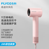 飞科（FLYCO）电吹风机高速家用轻音负离子大功率不伤发七夕礼物吹风筒宿舍便携送女生礼物 FH6370-公主粉【2亿+级负离子】