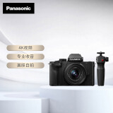 松下G100DK微单相机 Panasonic 数码相机 vlog相机 微单套机12-32mm 4K视频 专业收音手柄套装