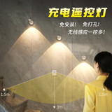 得利来（DOLILO） 得利来充电式射灯免接线免打孔无线背景墙壁照画灯免布线led壁灯 D2人体感应一拖三【充电款】