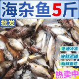 施佳嗒【现捕现发】海杂鱼批发新鲜深海鱼大杂烩海鲜水产 2.5kg 【5斤加量装】 海杂鱼