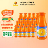 神内（GINNAI）新疆胡萝卜汁238ml*20瓶低聚糖 整箱装代餐复合果蔬汁0脂肪饮料