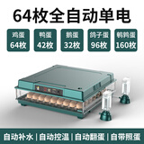 维谦（WEIQIAN） 全自动孵化器自动上水多功能芦丁鸡鸭鹅孵蛋箱孵蛋器家用孵化机 64枚全自动孵化器单电