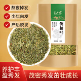 半山农 侧柏叶500克 侧柏可做养生枕头可磨粉 泡水侧柏粉可搭当归桑叶 年货礼品