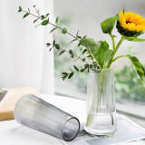 初卓玻璃条纹花瓶田园家居插花花器桌面装饰花瓶 透明条纹花瓶1个20CM