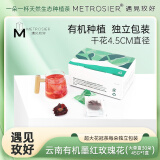 遇见玫好（METROSIER）有机玫瑰花冠茶云南超大墨红玫瑰茶养生花草茶独立包装 大单盒30朵45g*1盒