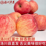 天天惠鲜达陕西洛川红富士时令苹果水果礼盒装脆甜冰糖心苹果生鲜水果新鲜 5斤80-85mm净重4.5斤