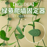 绿园匠绿萝爬墙固定神器绿植藤曼植物免钉贴墙自粘式挂钩攀爬夹子24个