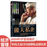 做大私企