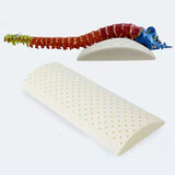 雅迪图（YADITU） 雅迪图 腰垫腰枕床上腰椎垫腰椎枕乳胶腰垫睡眠腰垫孕妇护腰靠垫 白色外套+枕芯 长62宽20高4cm(150以上身高)