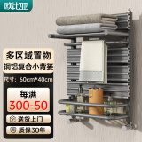 欧比亚小背篓暖气片水暖取暖器散热器铜铝复合厕所卫生间置物架取暖器 枪灰色 600mm*400mm