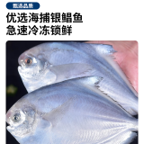 朵芙青岛海捕银鲳鱼 4斤 白鲳扁鱼平鱼 海鱼 生鲜鱼类 海鲜水产 5-7/斤 4斤码头直供