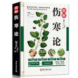 图解伤寒论 祖国医学四大经典名著之一回归最真实的中医思想 中医经典名著养生书籍