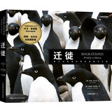 迁徙（耗时30余年，跨越7个大洲，追踪55个物种的不同种群，用艺术视角记录动物迁徙之美！触摸地球的神秘脉动，致敬自然生灵的坚韧！）