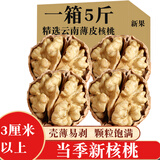 滇中拾味2025年新货云南薄皮核桃 原味老树大麻子丑纸皮生核桃带壳坚果 云南薄皮核桃特大果2500g1箱