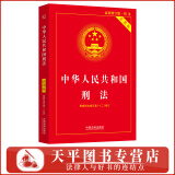 2024新版 中华人民共和国刑法 实用版 2023年全新修订版 第十版 根据刑法修正案十二修改 案例解读 司法解释 刑法典 刑法一本通 刑法注释书 中国法制出版社 9787521634334