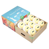 京自鲜生新疆天山雪梨 应季水果梨子新鲜脆梨雪当季特产贡梨整箱 5斤礼盒装