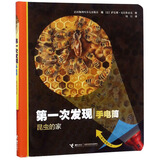 昆虫的家/第一次发现（手电筒）