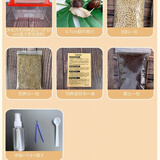 宠以沫（CHONG YIMO）蜗牛活体宠物白玉蜗牛巨型美容蜗牛宠物活体蜗牛观赏蜗牛教学蜗牛 大长方形新手套餐(送蜗牛)