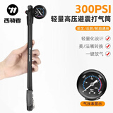 西骑者（WestBiking）自行车打气筒前叉充气泵高压减震一键放气美法嘴通用气泵充气装备 黑色【300PSI】