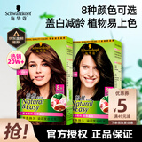 施华蔻 怡然植物盖白染发剂遮白发纯无氨温和配方染发霜染发膏男女通用 可可棕色*2盒