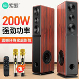 索爱 K25家用电视音响套装客厅家庭影院K歌低音炮三分频大功率HiFi组合有源落地式蓝牙音箱 K18豪华旗舰版（8喇叭）+2支话筒