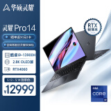 华硕灵耀Pro14 14.5英寸13代标压英特尔2.8K120Hz OLED高性能笔记本电脑(i9-13900H 32G1T RTX4060)黑